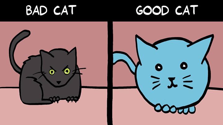 which-cat-is-your-catbad-cat-vs-good-cat